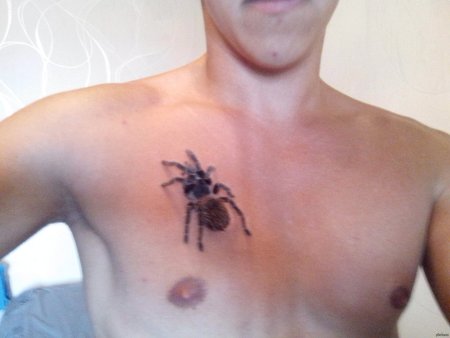 Пауки тату