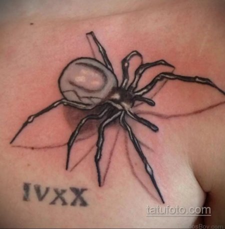 Тату паук