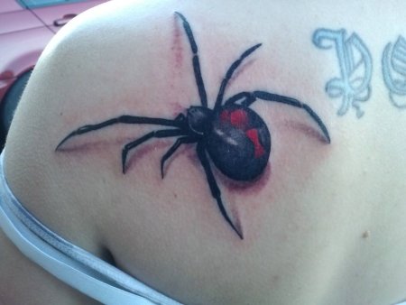 Тату паук