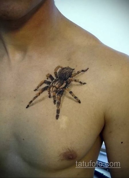 Тату паук