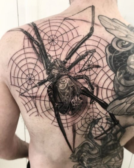 Тату паук
