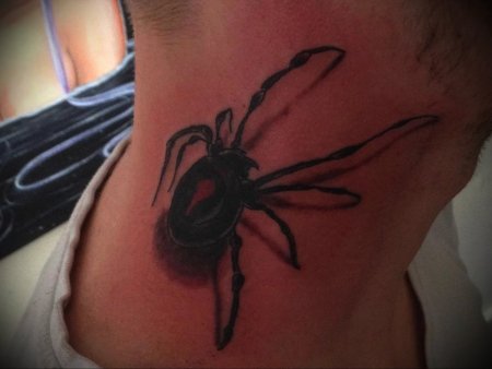 Тату паук