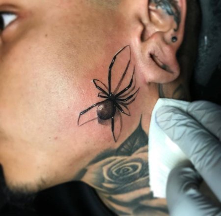 Тату паук