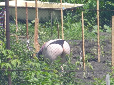 На даче раком