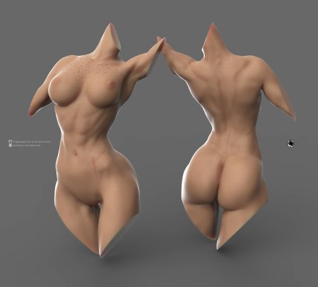 Голое женское тело референс