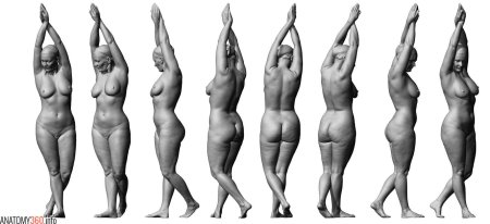 Фигура женщины с разных ракурсов