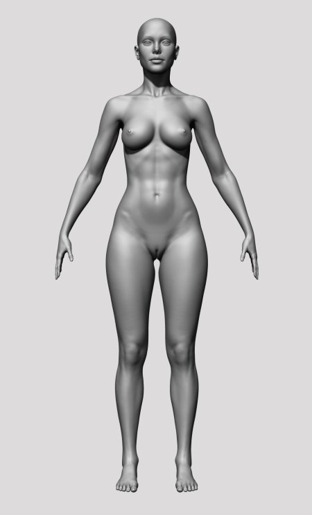 Женское тело спереди