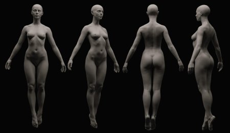 Голое женское тело анатомия