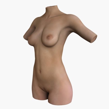 Женский торс