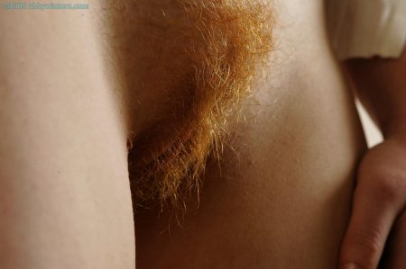 Натуральный рыжий лобок