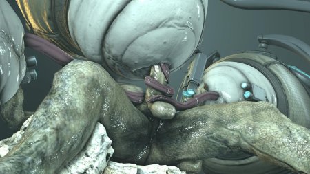 Чужой с большими сиськами