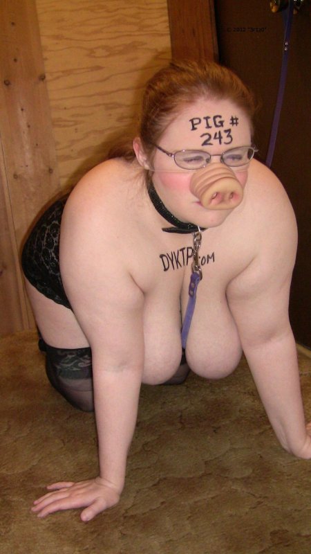 Голая толстая свинья рабыня