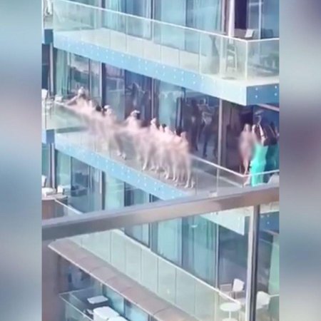 Голые женщины на балконе в дубае