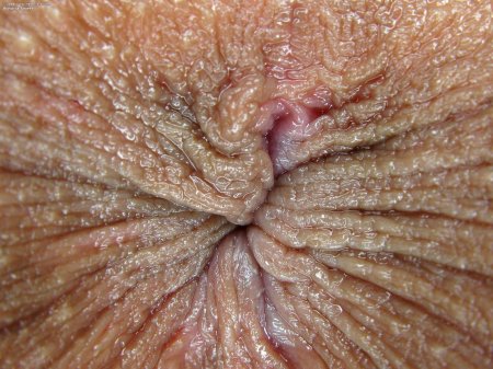 Женские анусы крупным планом