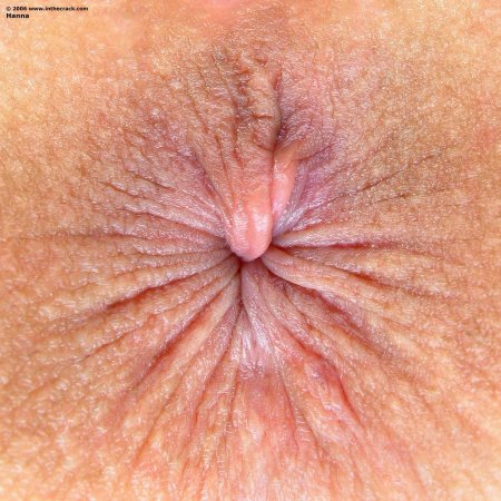 Здоровый анус