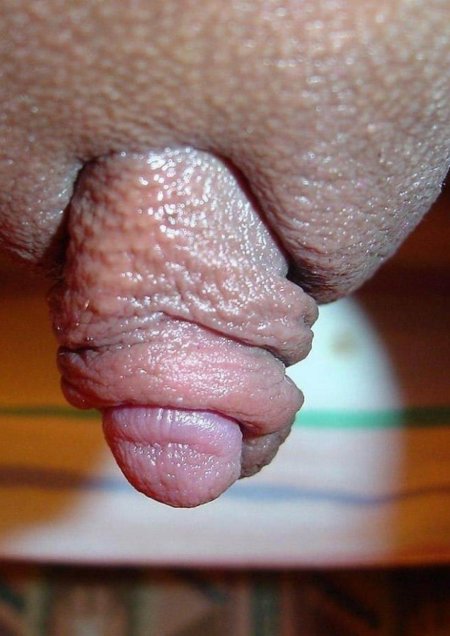 Большие женские клиторы