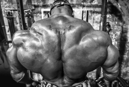 Самая накаченная спина в мире