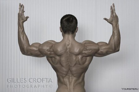 Накаченная спина мужская
