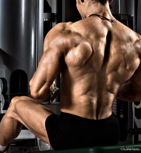 Накаченная спина