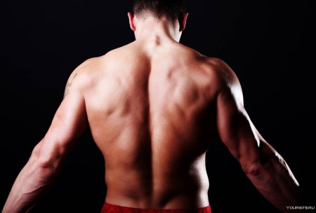 Спина мужская