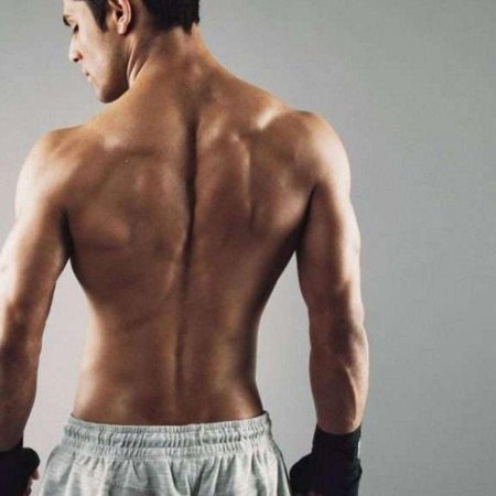 Мужская спина