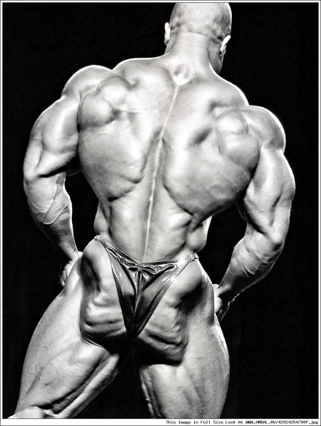 Ронни колеман мистер олимпия