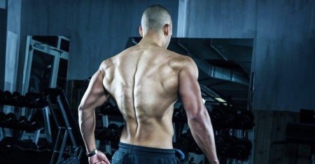 Накаченная спина