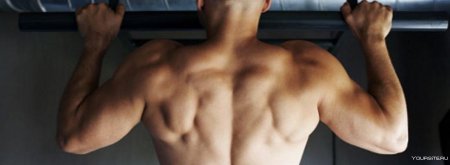 Мужская спина