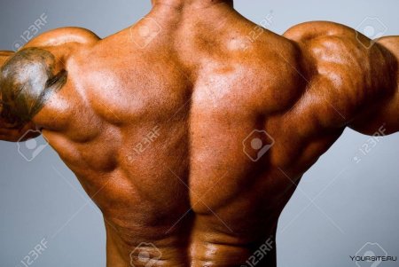 Накаченная спина