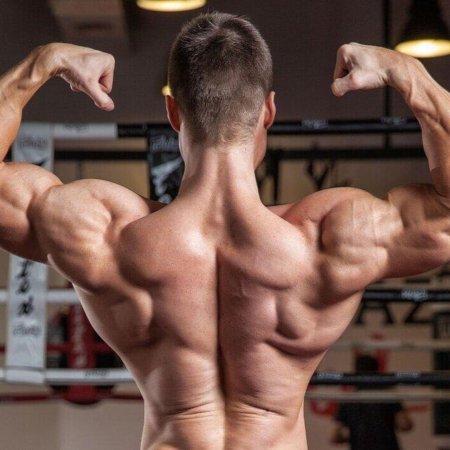 Накаченная спина мужская