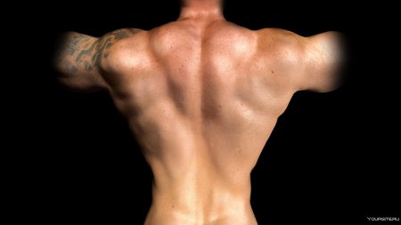 Мужская спина