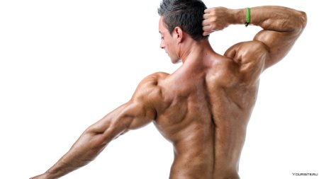Накаченная спина мужская