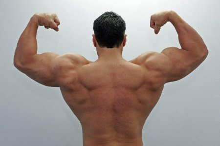 Накаченная спина