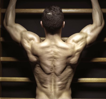 Накаченная спина мужская