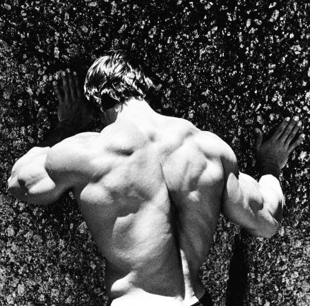 Арнольд шварценеггер бодибилдинг