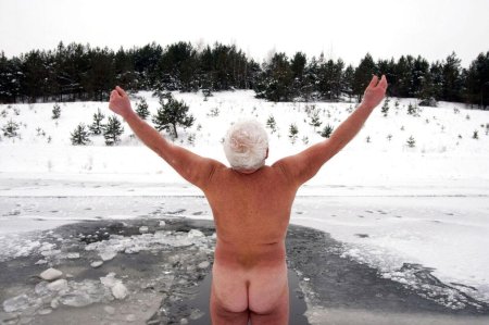 Моржи купаются голышом