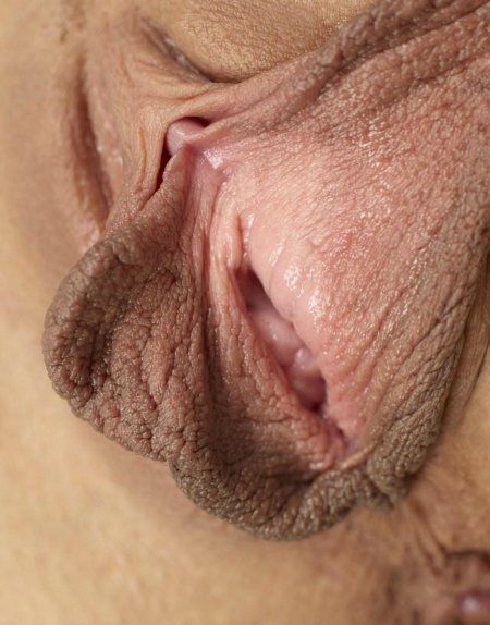 Огромные половые губы порно