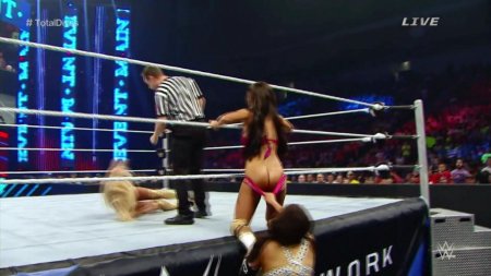 Rosa mendes wwe