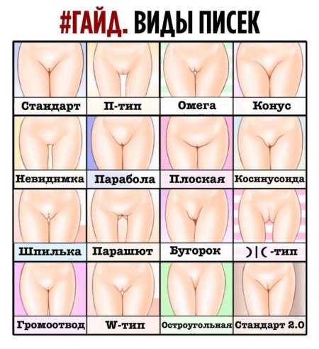 Типы писек