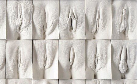 Вагина формы