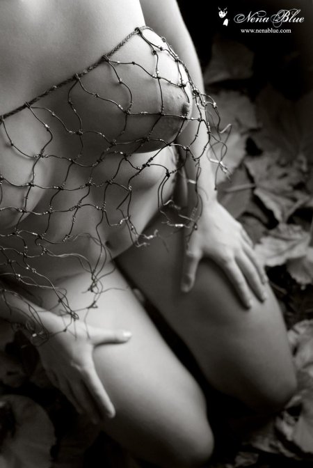 Эстетика эротика