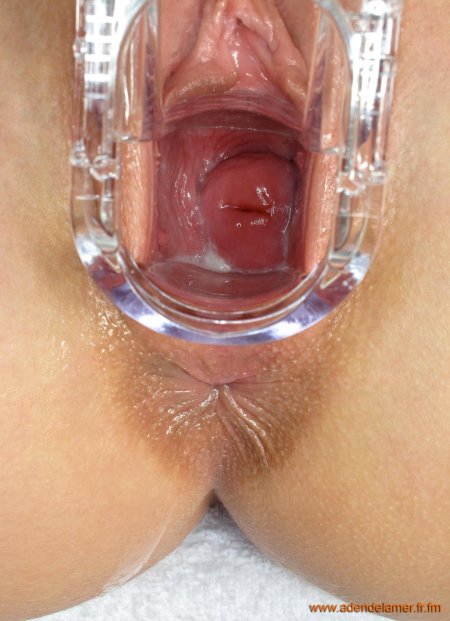 Вагина изнутри