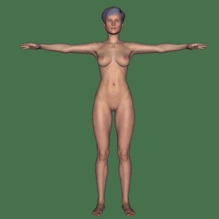 Модели человека