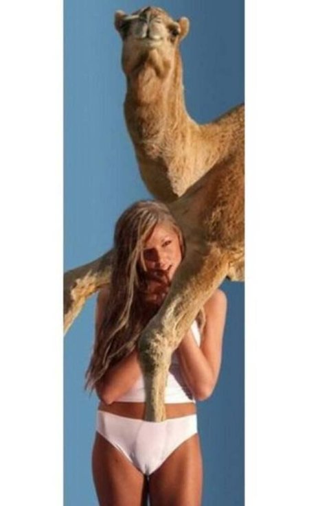 Кэмерон диаз верблюжье копытце