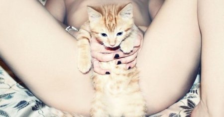 Красивые киски красивых девушек