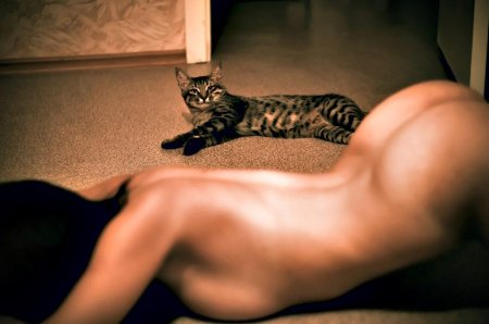 Саванна кошка