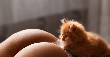 Самые красивые киски девушек