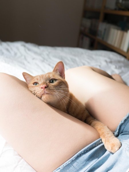 Красивые киски девчонок