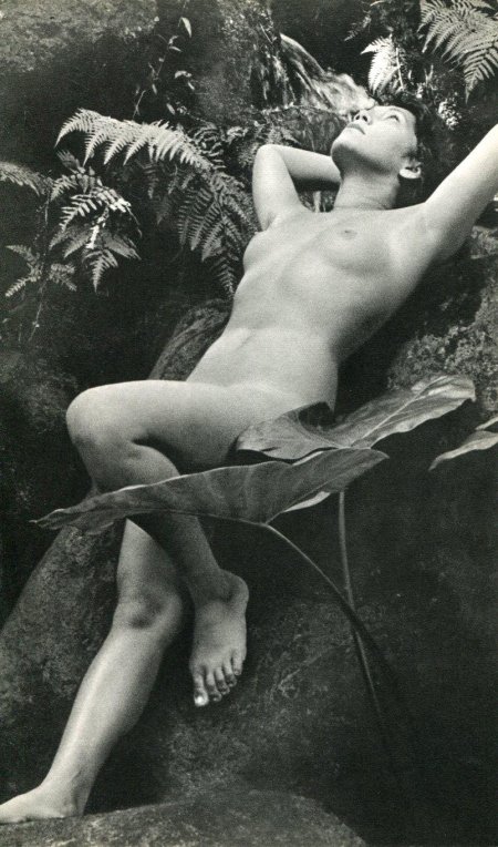 Александр данилович гринберг