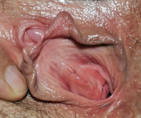 Женские гениталии крупным планом